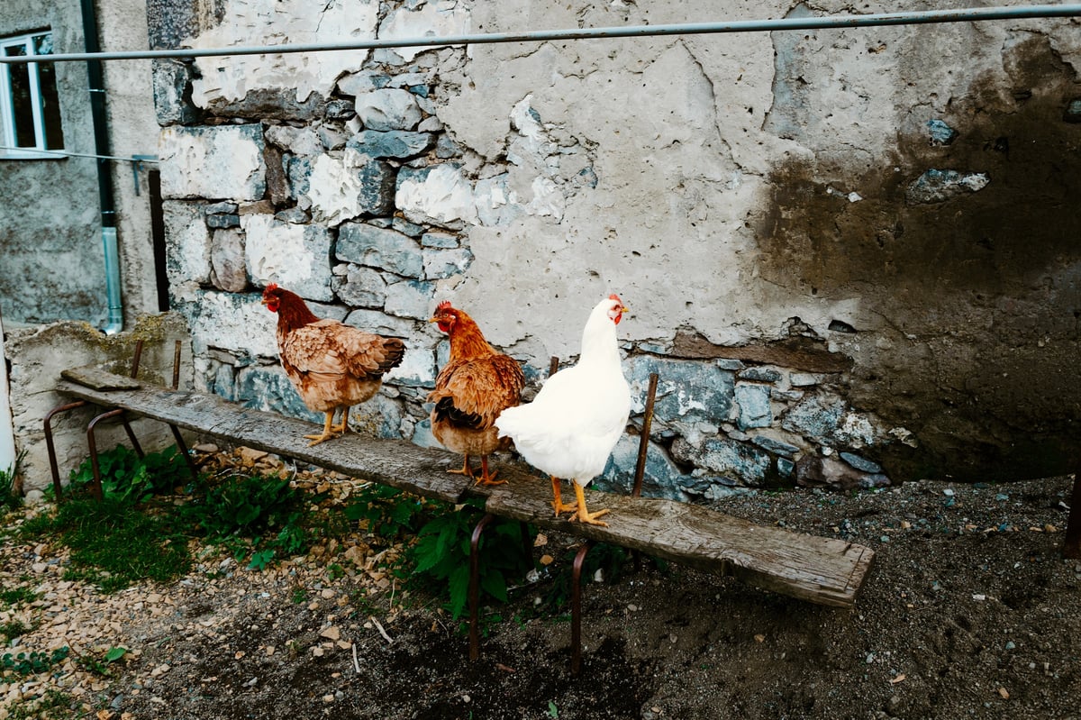 A Home Already Lost — Tsalka, Georgia — 10